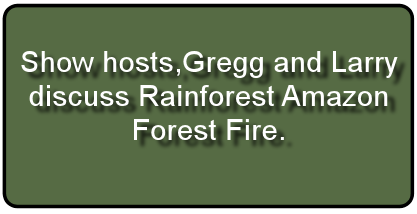 8-24-19 Rainforest Amazon Fire