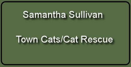 Samantha Sullivan 8-6-17